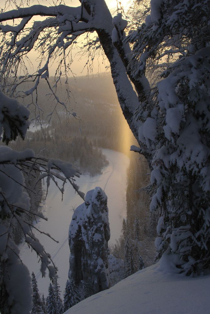 Фотография автора Алексей Поляков