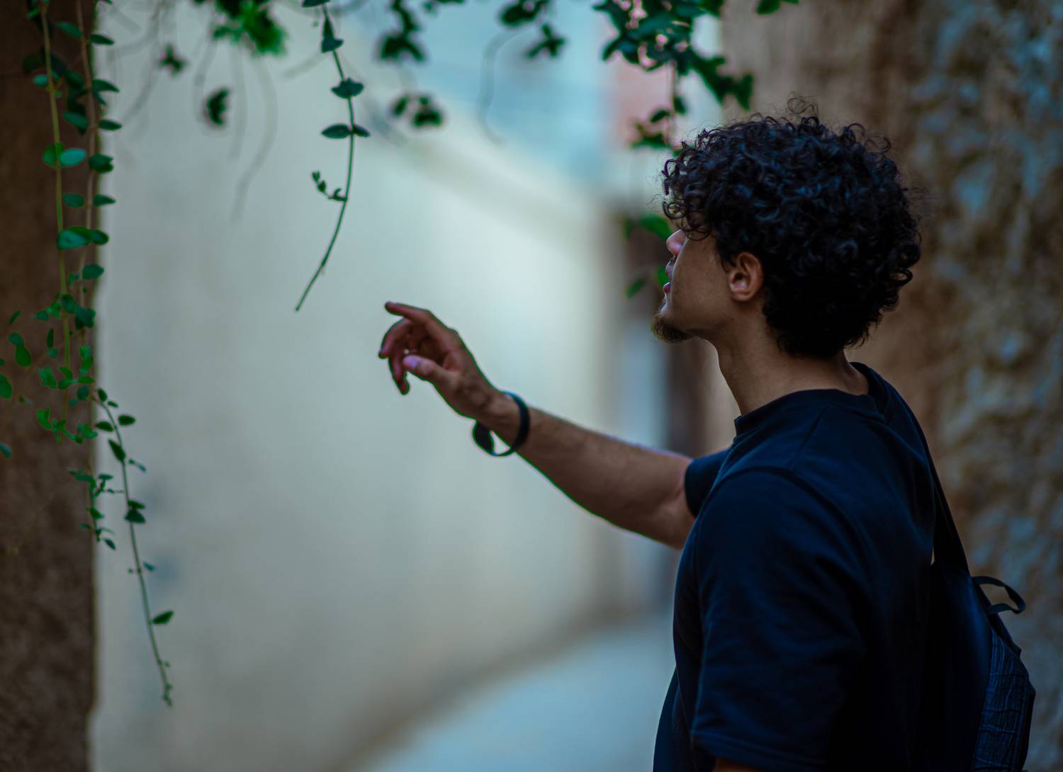 Photo #13075055