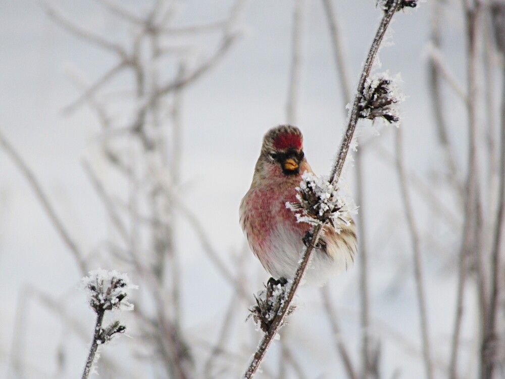 Photograph by Екатерина Салий