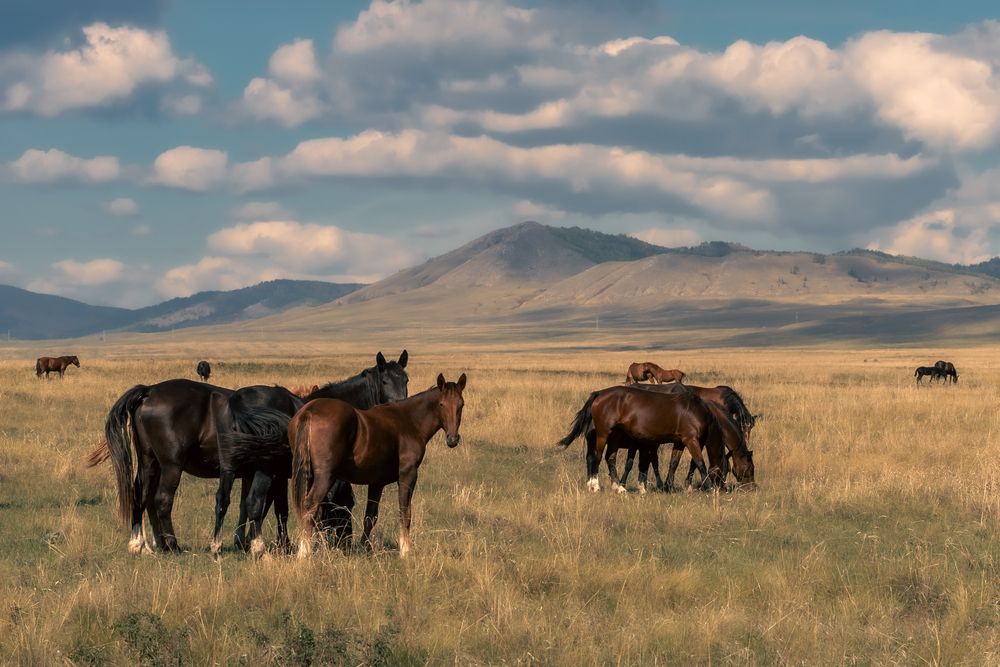 Photograph by Екатерина Дубровская
