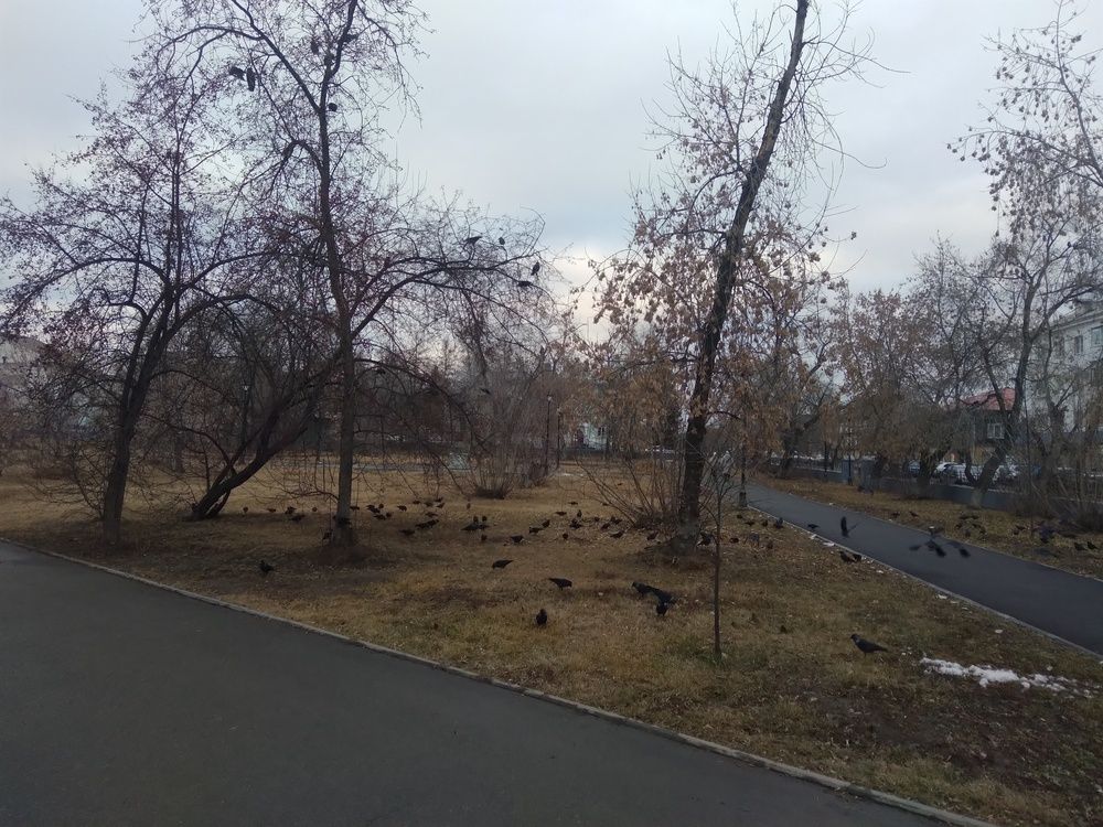 Photograph by Лида