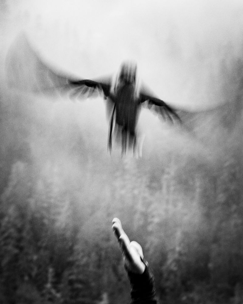 Photograph by Anton Krasnikov