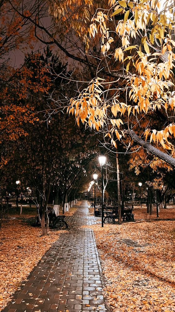 Photograph by Saule Zanginova