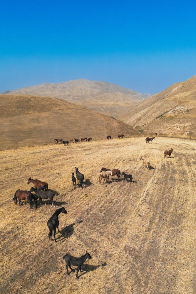 Photograph by Aleksey Rukin