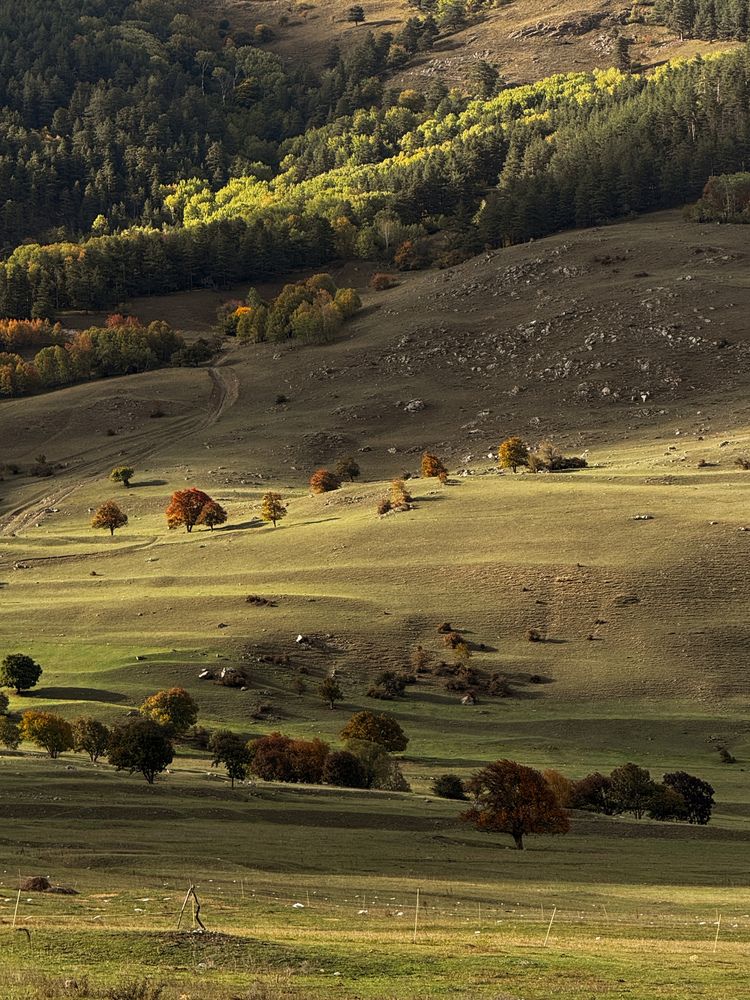 Photograph by Дарья Ищенко