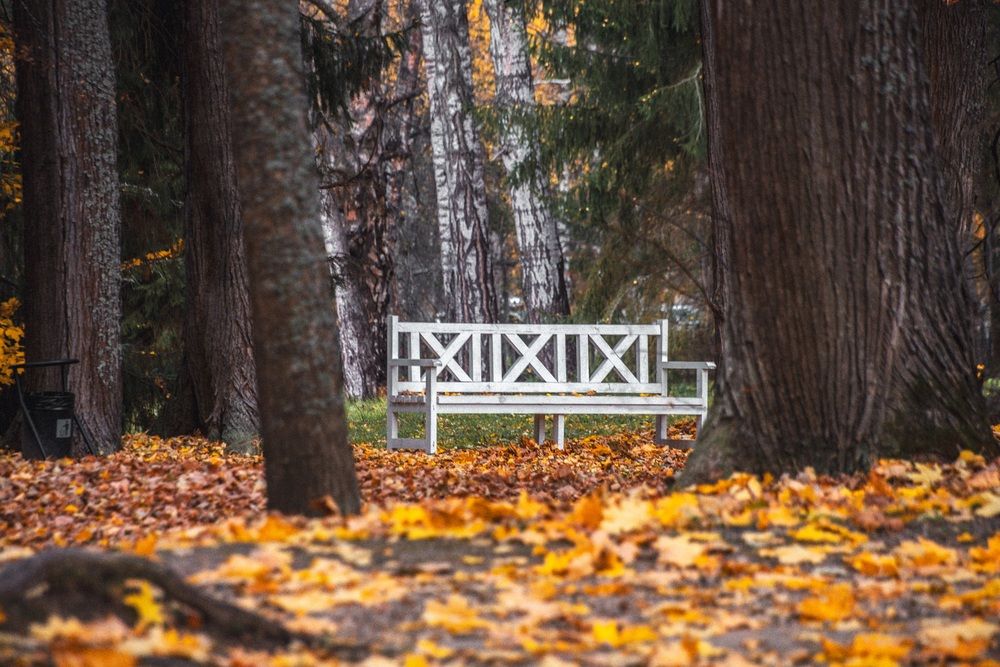 Photograph by Елена Ефимова