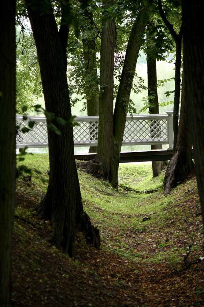 Photograph by Михаил Некрасов