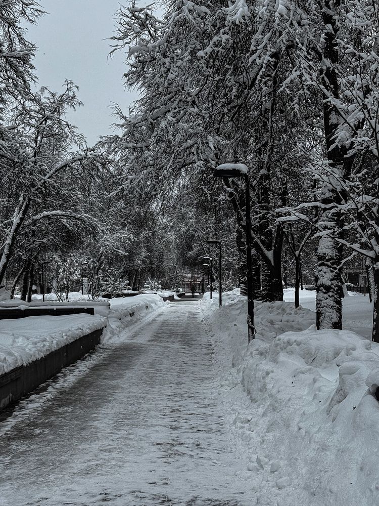 Photograph by Наталья Чехова