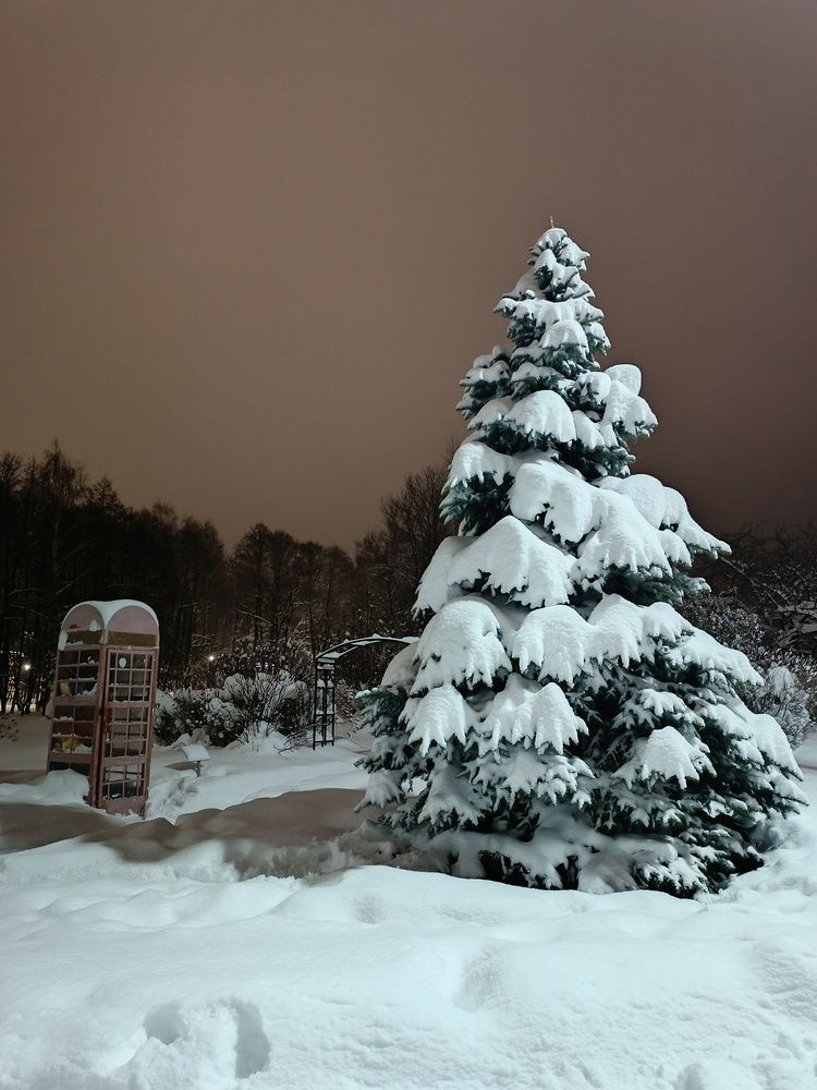 Photograph by ЮЛИЯ ОБРОКОВА