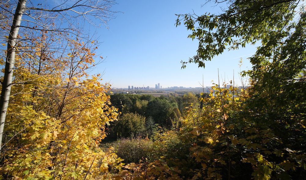 Фотография автора Дмитрий Калабухов