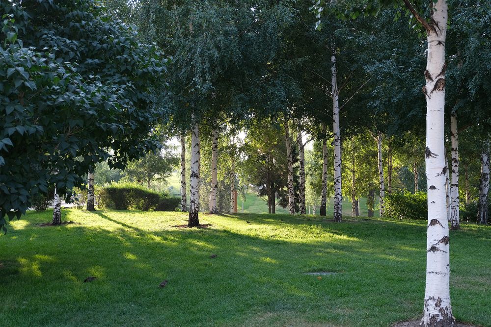 Фотография автора Дмитрий Калабухов