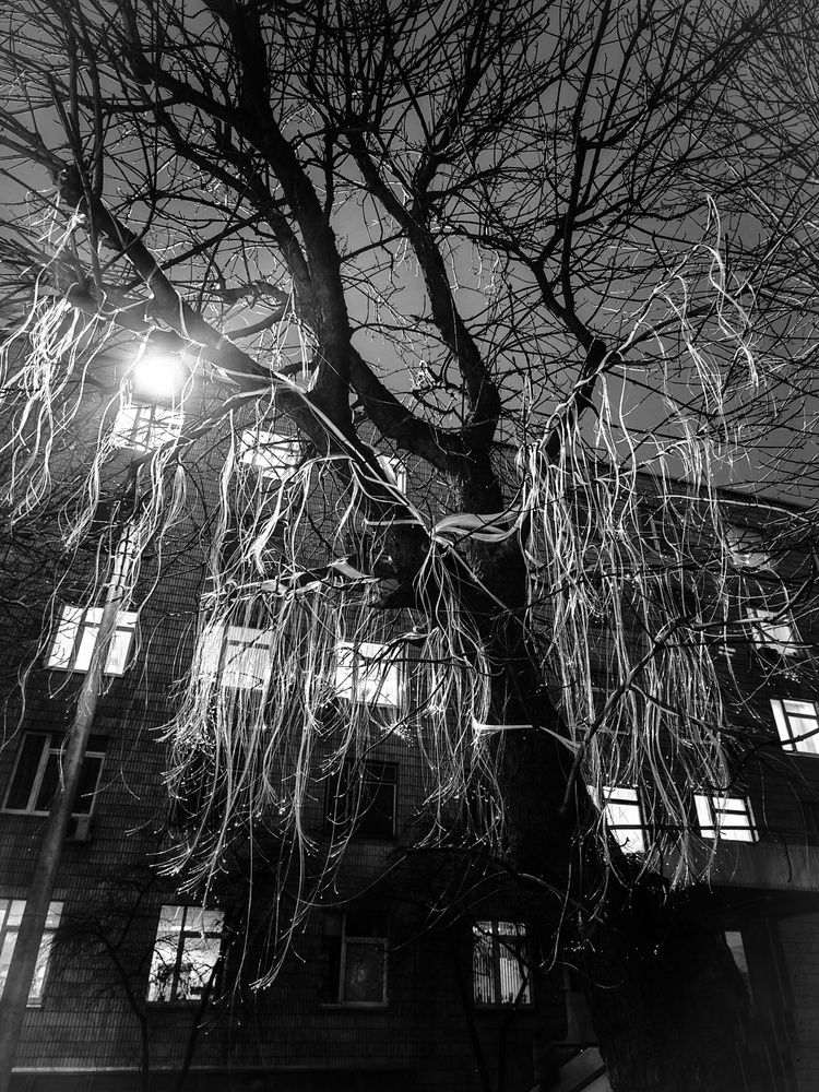 Фотография автора Татьяна Соколовская