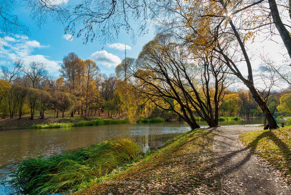 Photograph by Владимир Арбесман