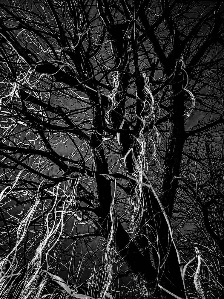 Фотография автора Татьяна Соколовская