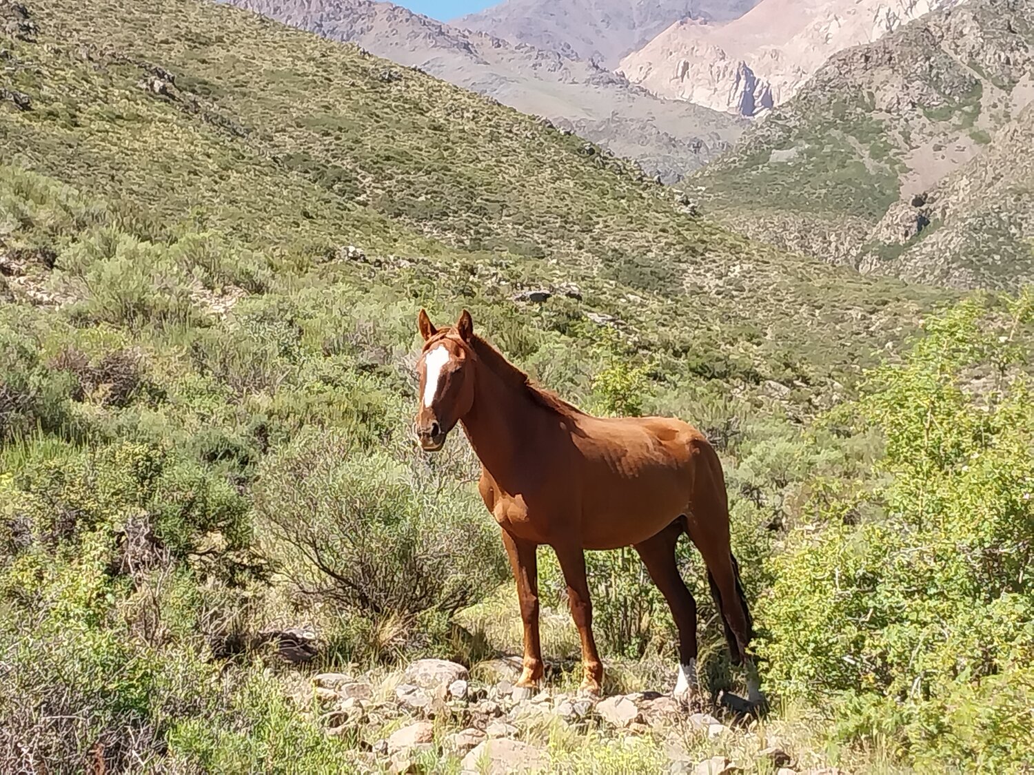 Photo #13075346