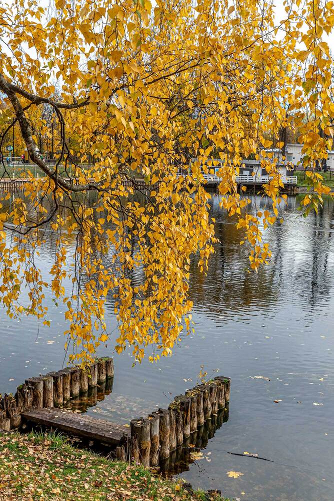 Photograph by Владимир Арбесман
