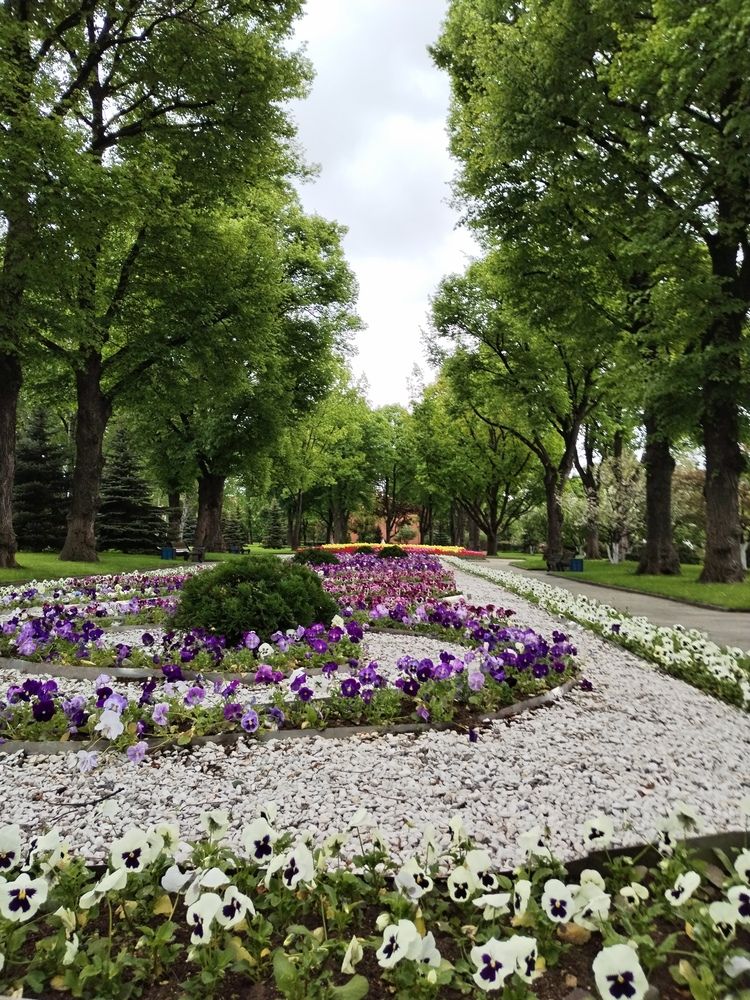 Photograph by Ирина Филиппова