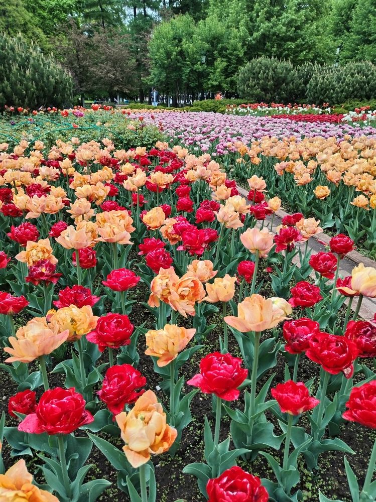 Photograph by Ирина Филиппова