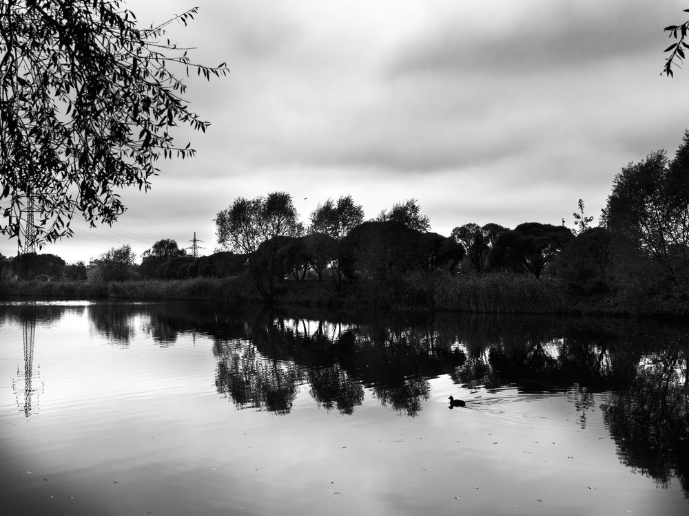 Photograph by Анастасия