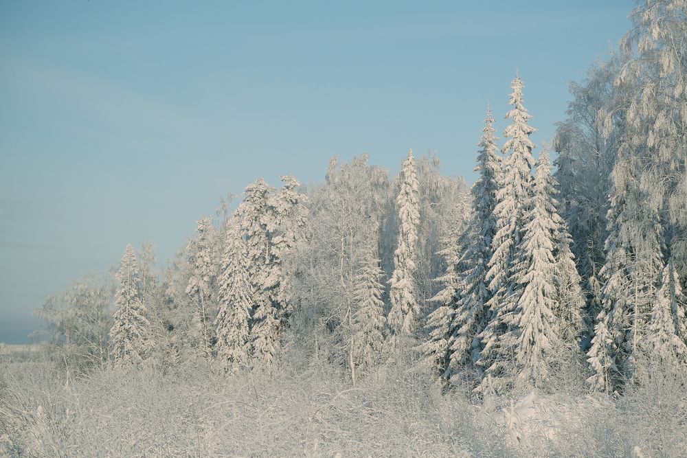 Photograph by Надежда Кангина