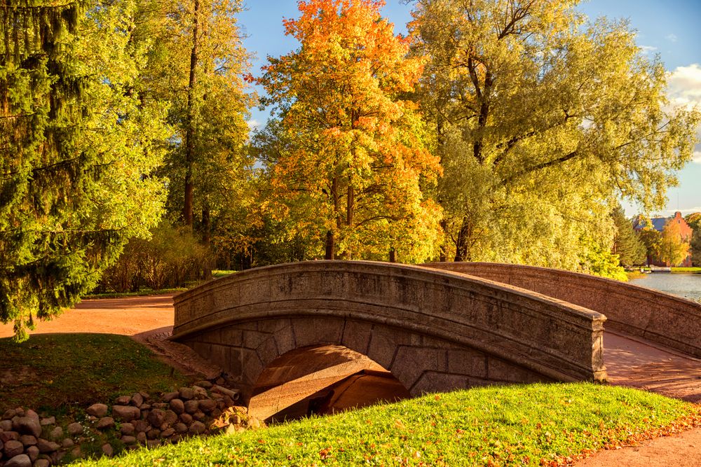 Photograph by Валентина Ермилова