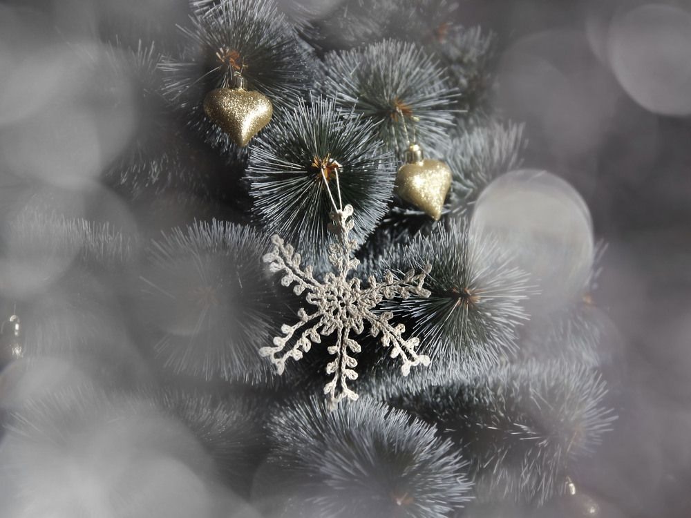 Photograph by Елена Кондратьева