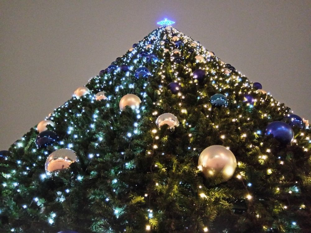 Photograph by Юлия Локалова