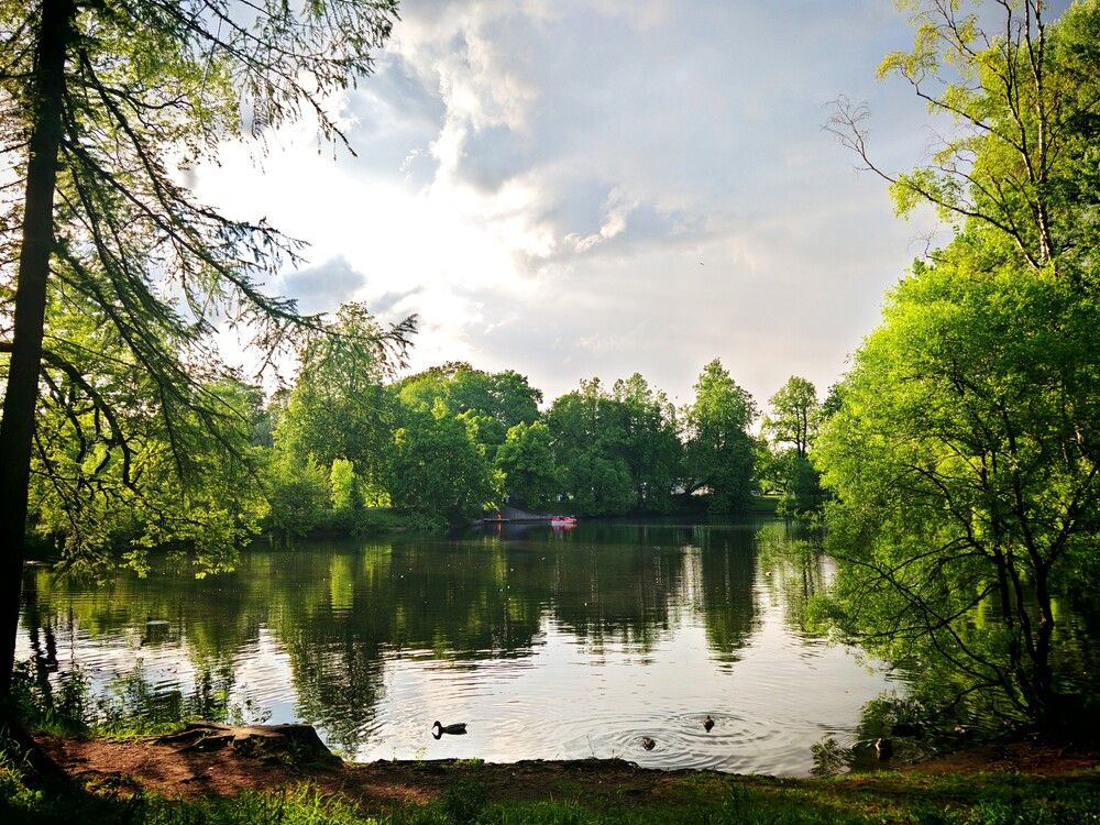 Photograph by Анастасия