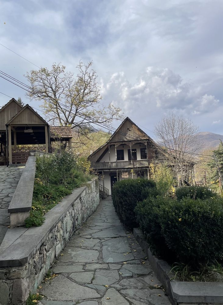 Фотография автора Светлана