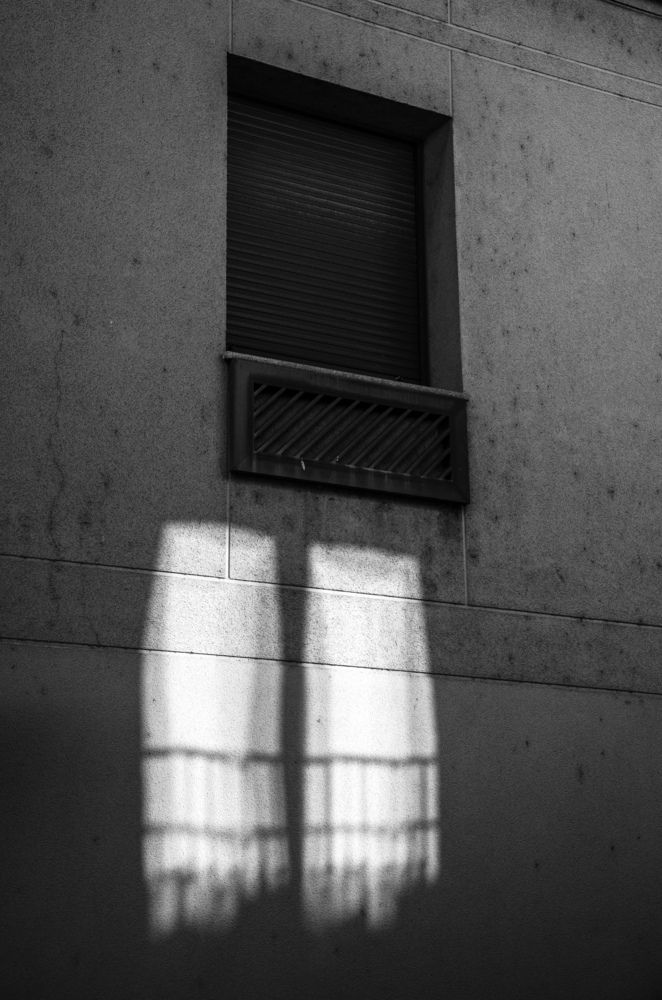 Photograph by Daria Zemskova