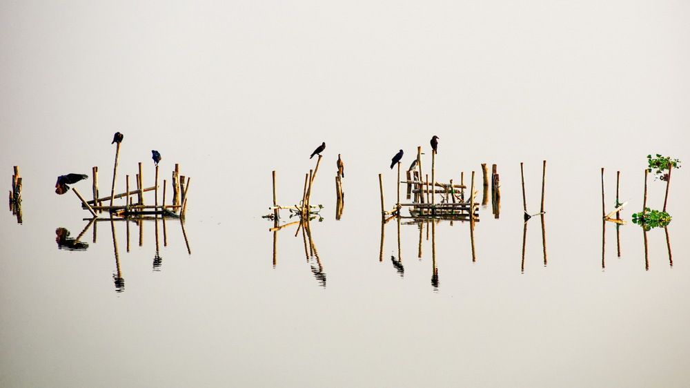 Фотография автора Андрей Панин