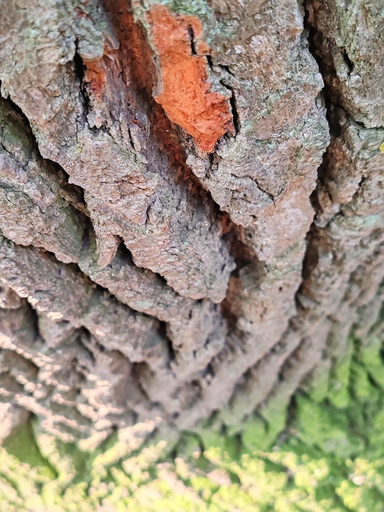 Фотография автора Galya