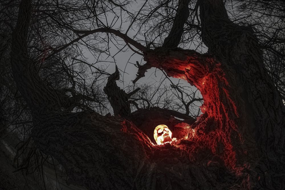 Страшная добрая сказка