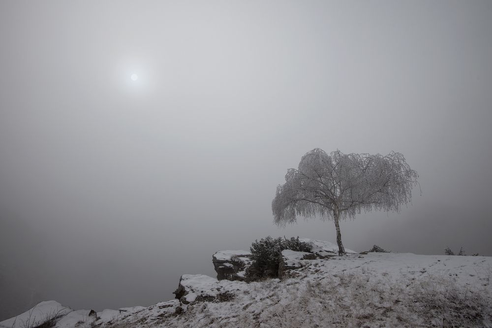 Фотография автора Хасан Журтов