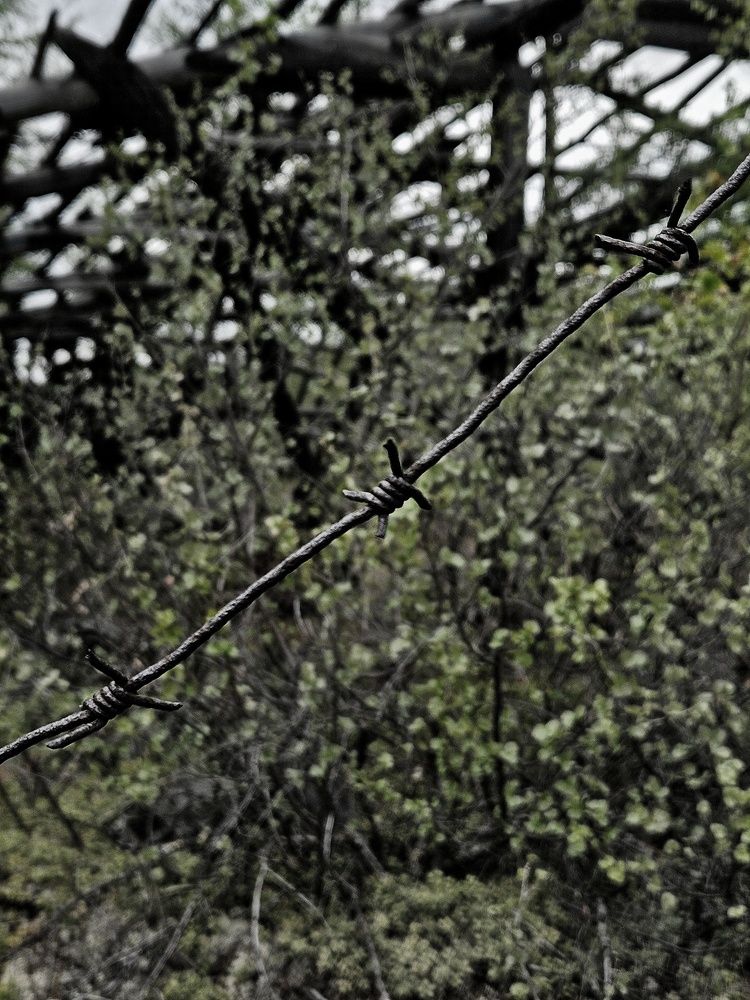 Photograph by Ирина