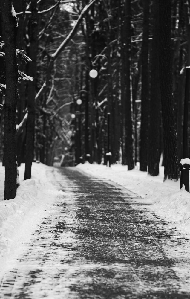 Photograph by Майя Чехова