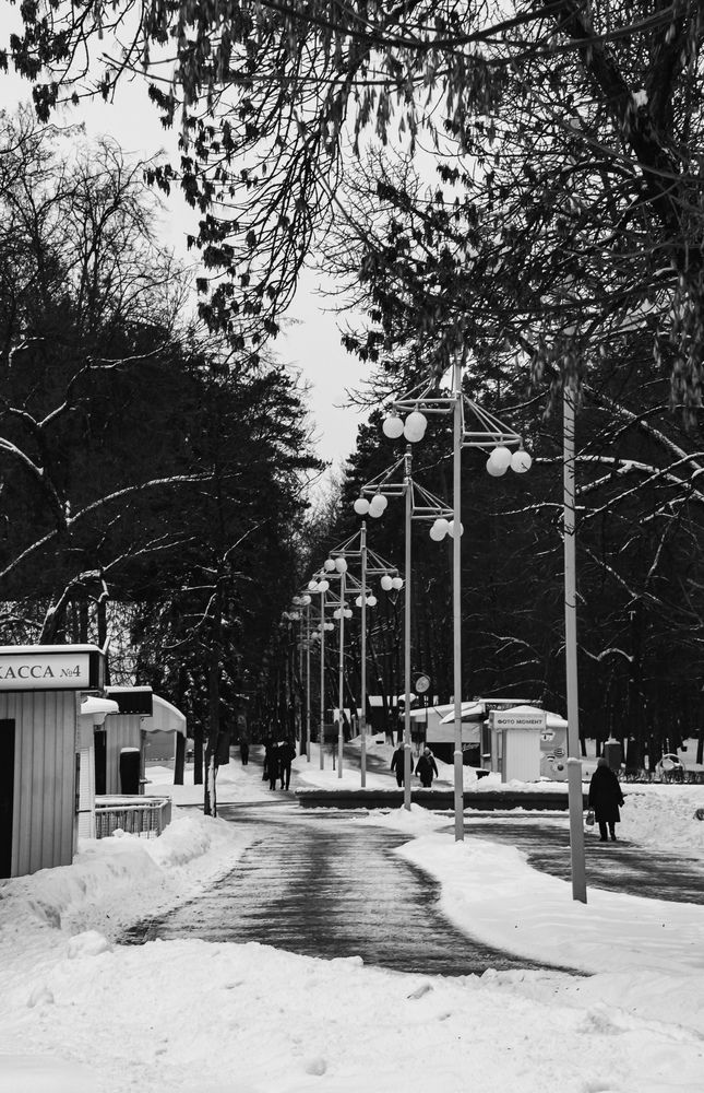 Photograph by Майя Чехова