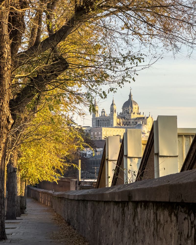 Autumn path to the Cathedral