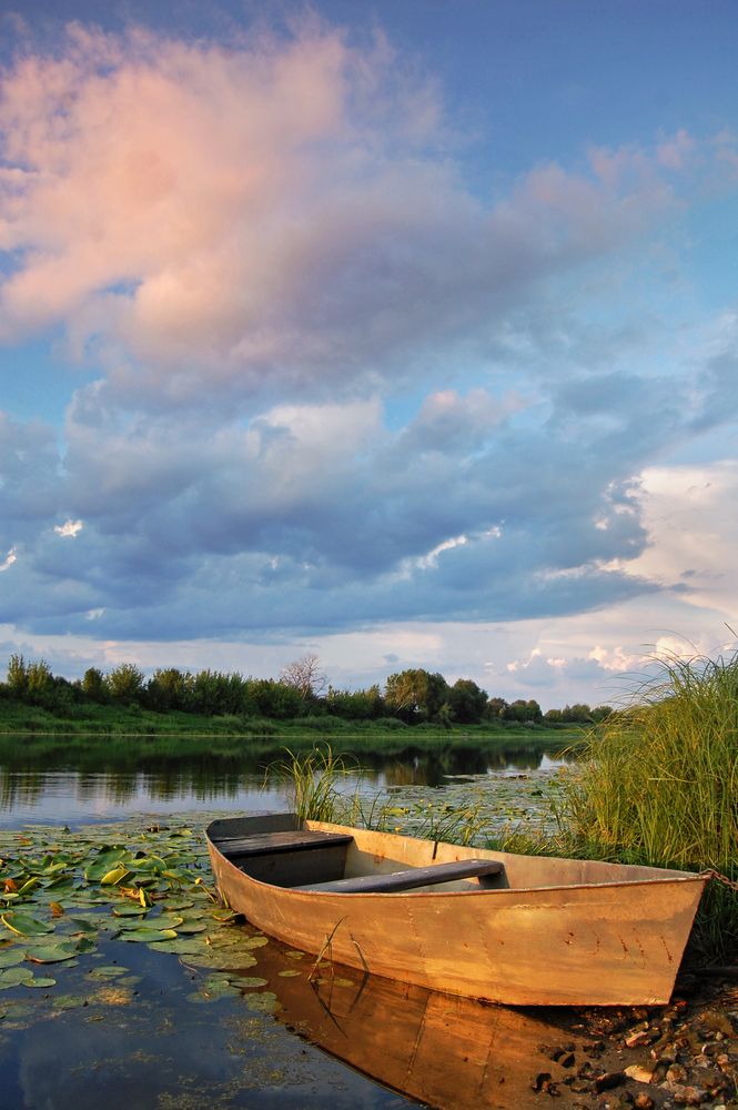 Photograph by Майя Синичкина