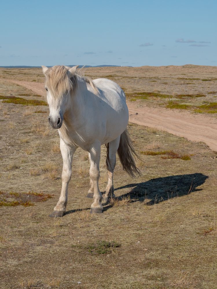 Фотография автора Шейко Анна