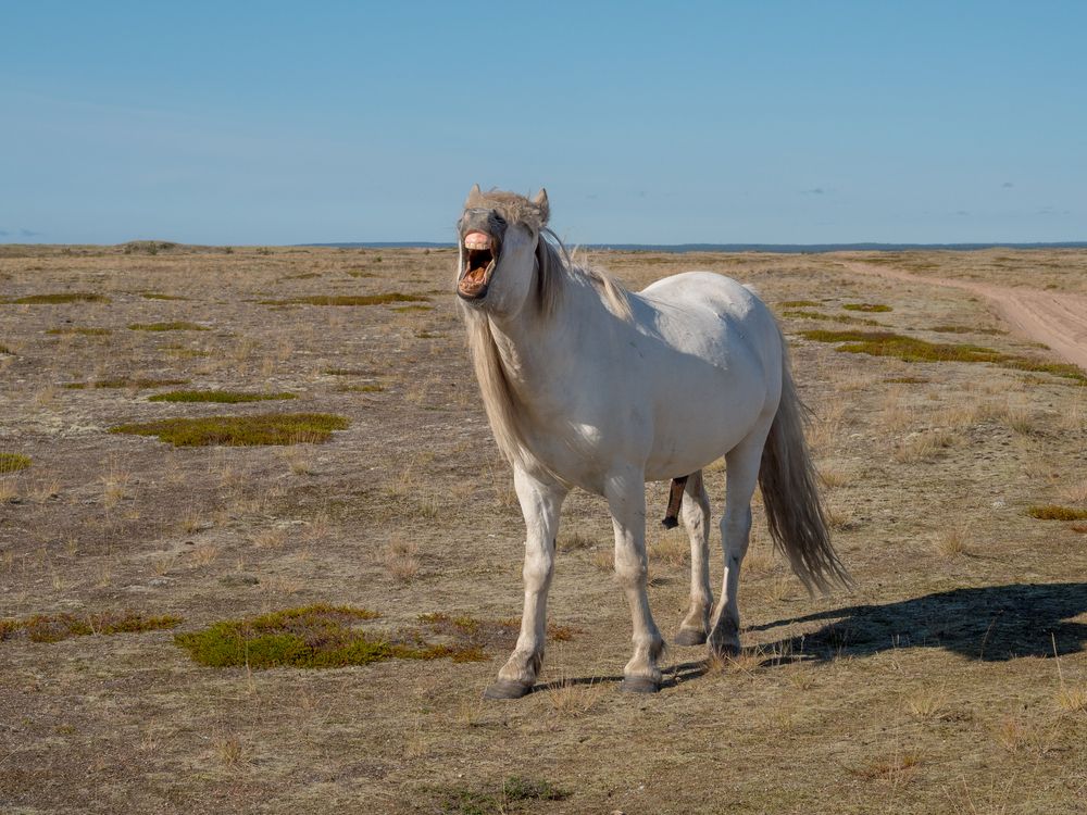 Фотография автора Шейко Анна