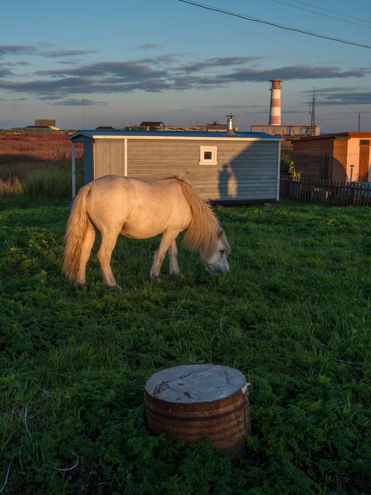 Фотография автора Шейко Анна