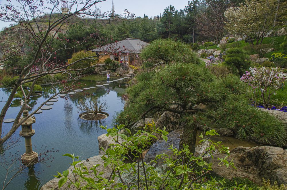 Photograph by Надежда Михайлина