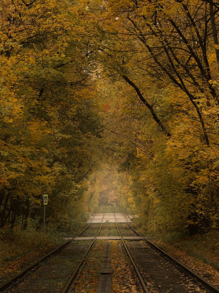 Photograph by Николай Потапов