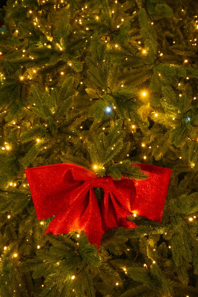 Photograph by Сергей Тишков