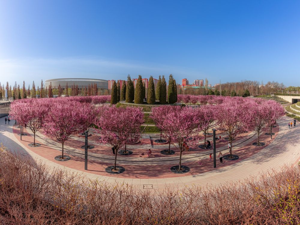 Фотография автора Rom@shkin