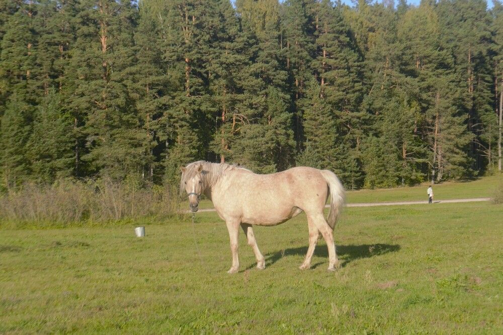Photograph by Людмила Ваганова
