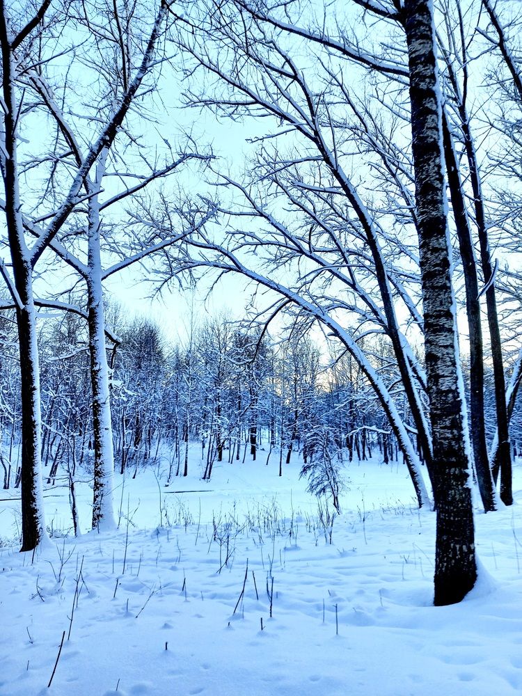 Photograph by Ольга Юрченко