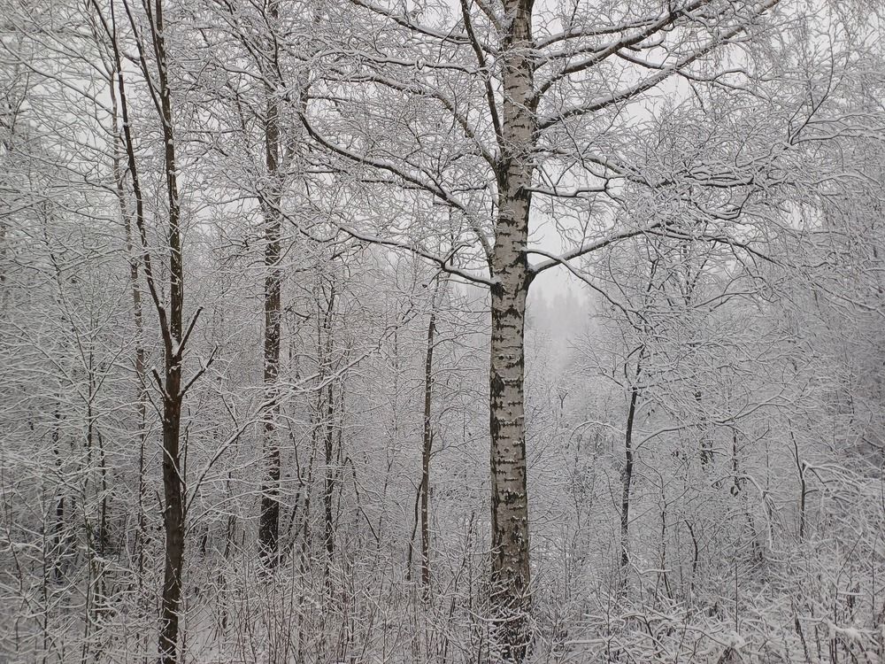 Photograph by Валентина