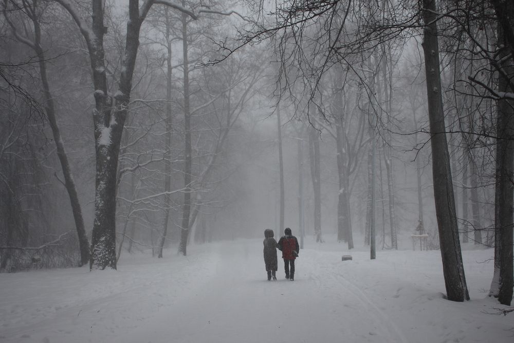 Photograph by Валентина